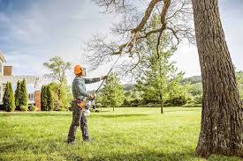 Best Tree Trimming and Pruning  in Weber City, VA